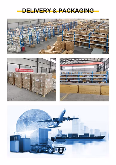 Cojín lumbar del masaje de la espuma de la memoria de la silla del asiento de coche de la oficina del soporte trasero